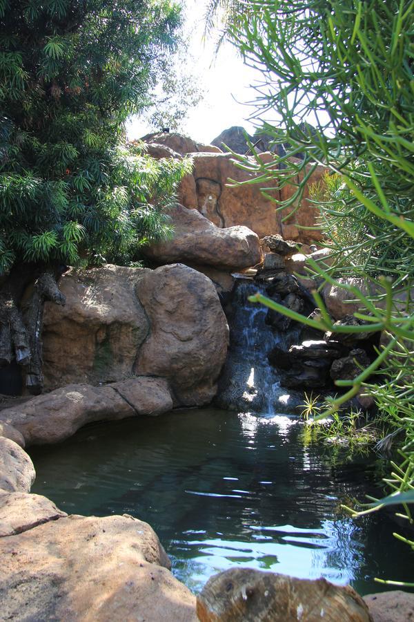 Kassaboera Lodge Hartbeespoort Extérieur photo